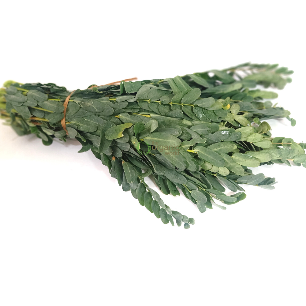 Agase Leaf 1 PCS