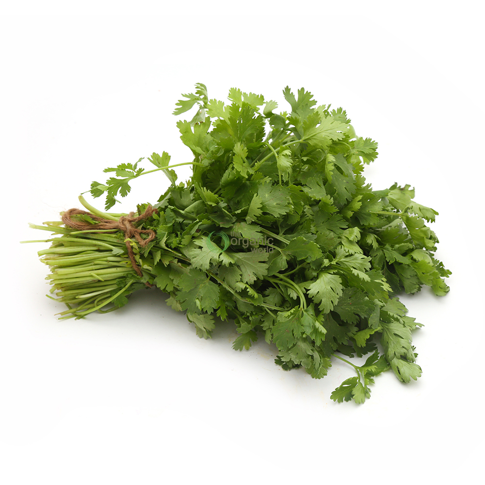 Coriander 1 PCS