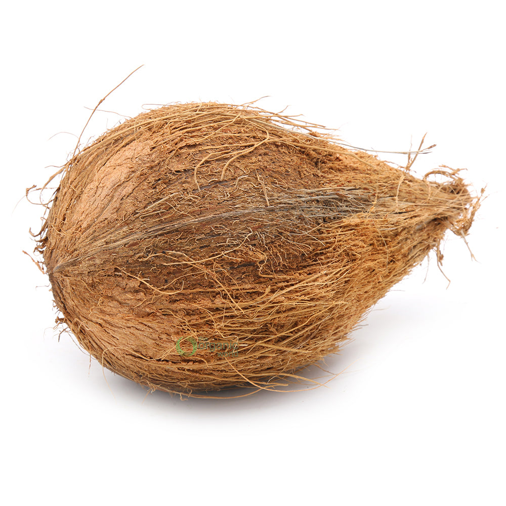 Coconut 1 PCS