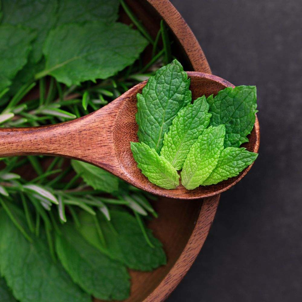 Herbs