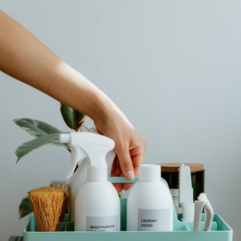 Cleaning Household