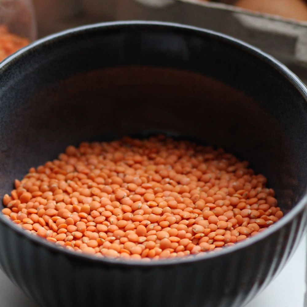 Dals-Pulses