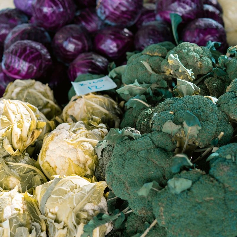Fresh vegetables