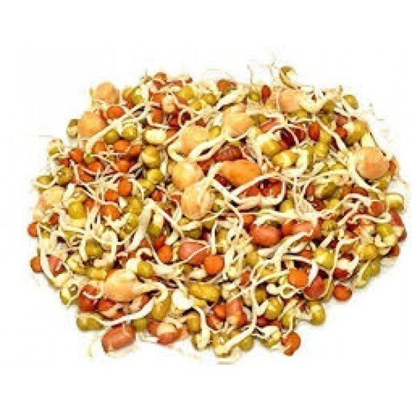Mixed Sprouts 200 GM
