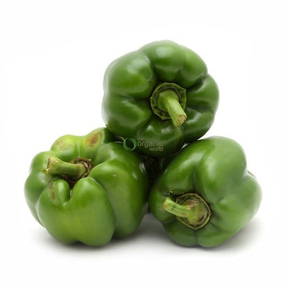 Capsicum Green 500 GM