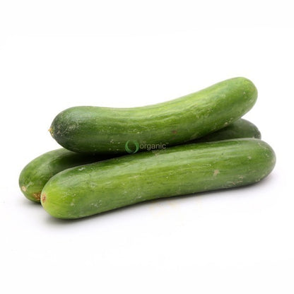 Cucumber English 250 GM