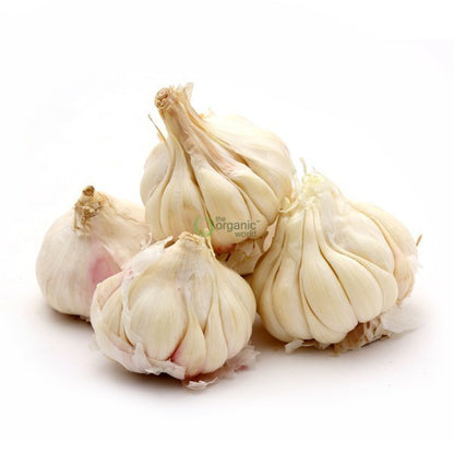 Garlic 100 GM