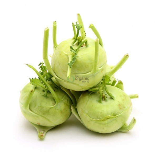Knol Khol 500 GM