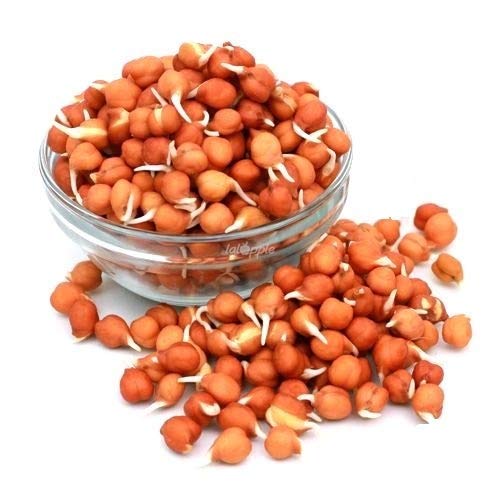 Brown Channa Sprouts 200 GM
