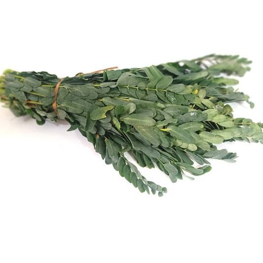 Agase Leaf 1 PCS