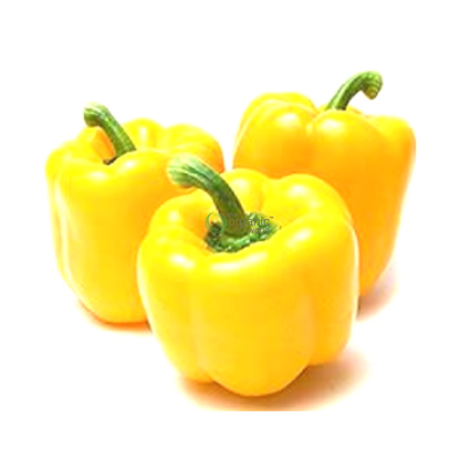 Capsicum Yellow 1 KG