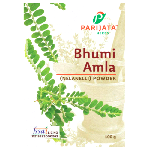 Bhumi Amla Powder 100 GM