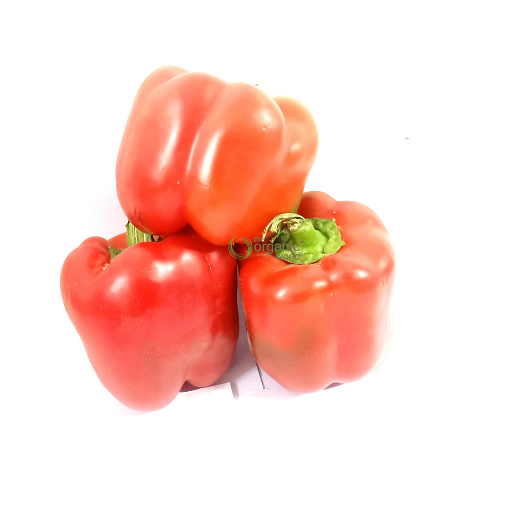 Capsicum Red 500 GM