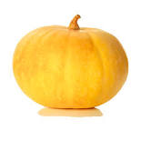 Pumpkin Yellow 250 GM