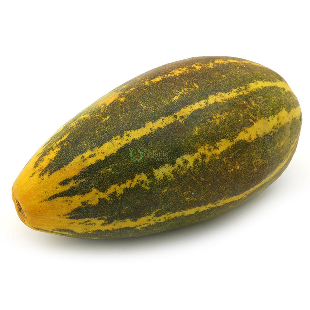 Sambar Cucumber 1 KG