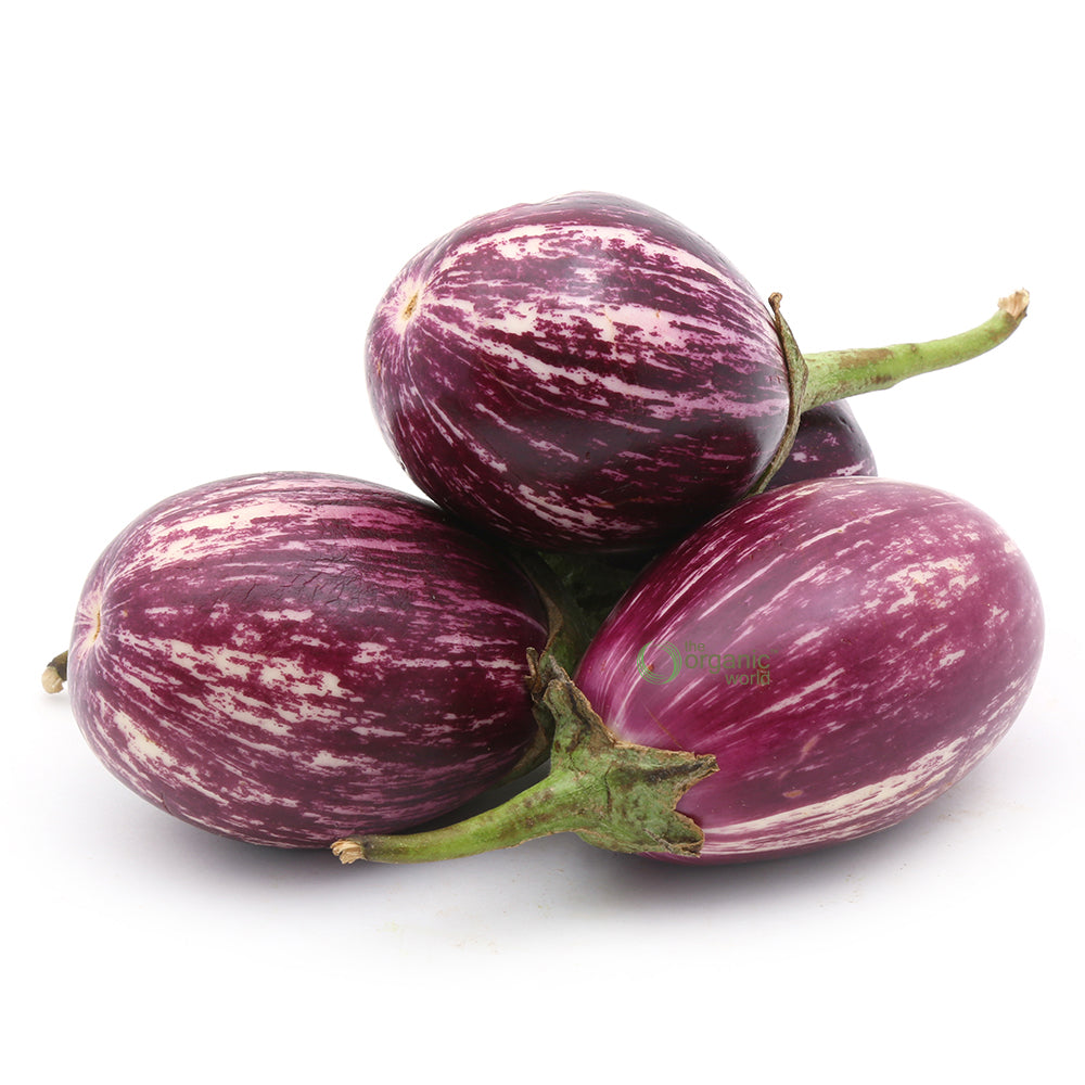 Brinjal Round 1 KG