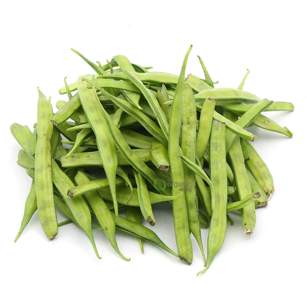 Beans Cluster 1 KG
