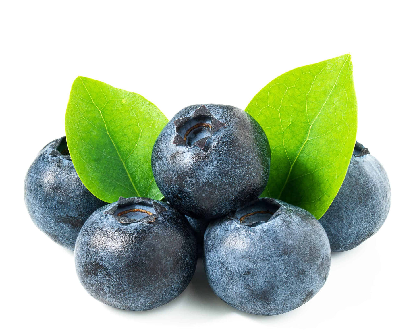 Organic - Blueberry 125 GM