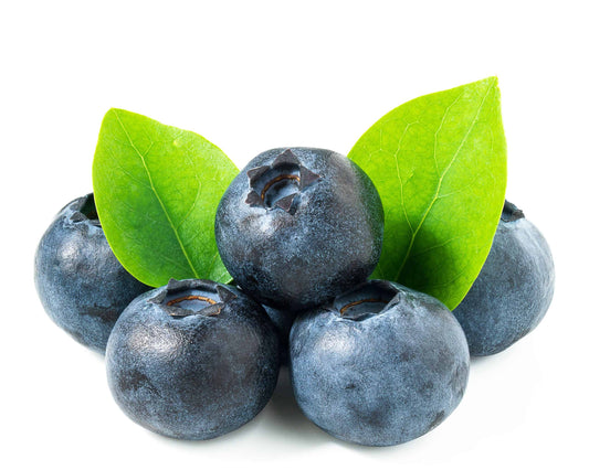 Organic - Blueberry 125 GM