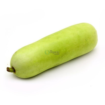 Bottle Gourd 1 KG