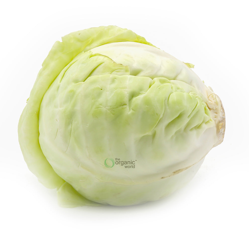 Cabbage 1 KG