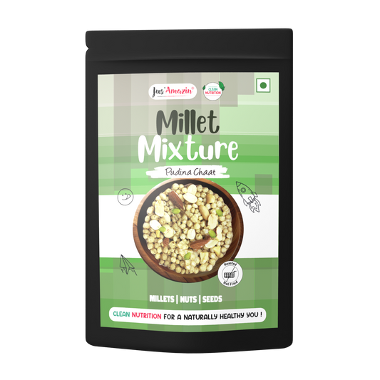 Millet Mixture Pudina Pouch 25 g