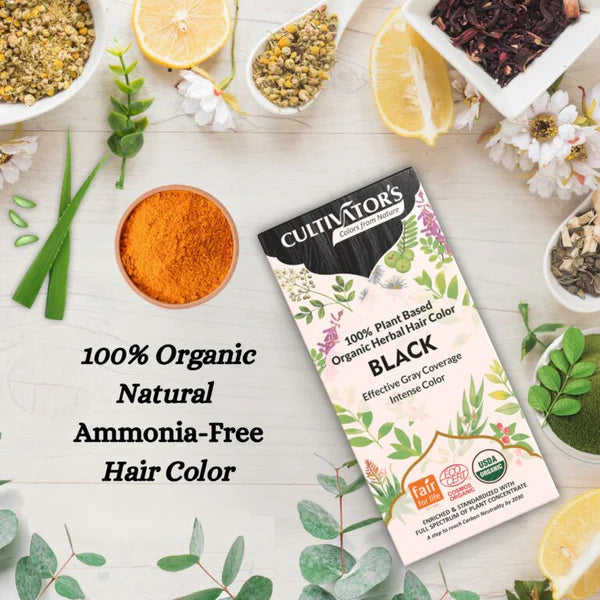 Organic Hair Color Black 100 GM