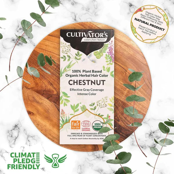 Organic Hair Color Chestnut 100 GM