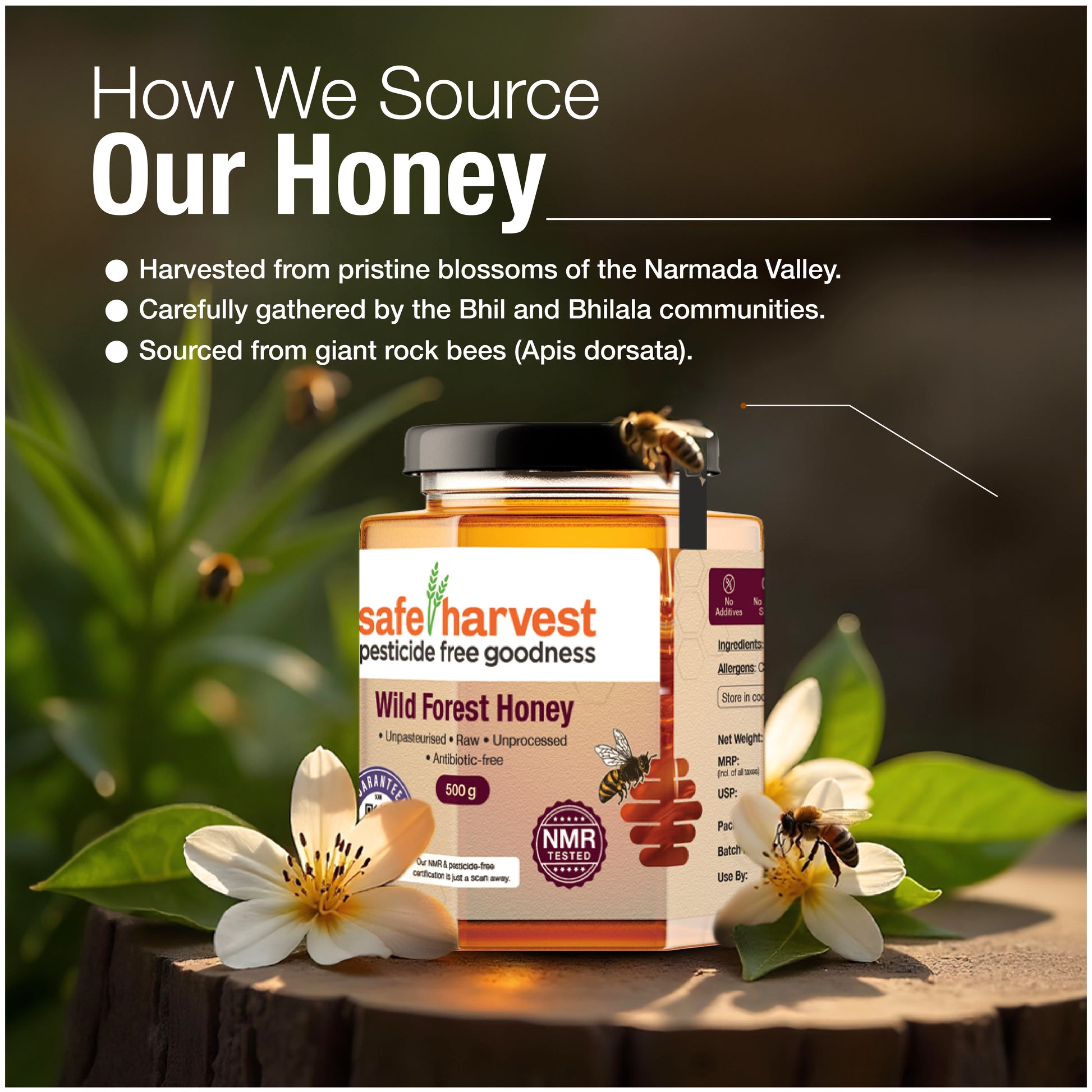 Pesticide Free Wild Forest Honey 100 g