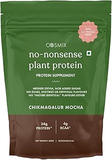 No Nonsense Plant Protein Chickmagalur Mocha 500 GM