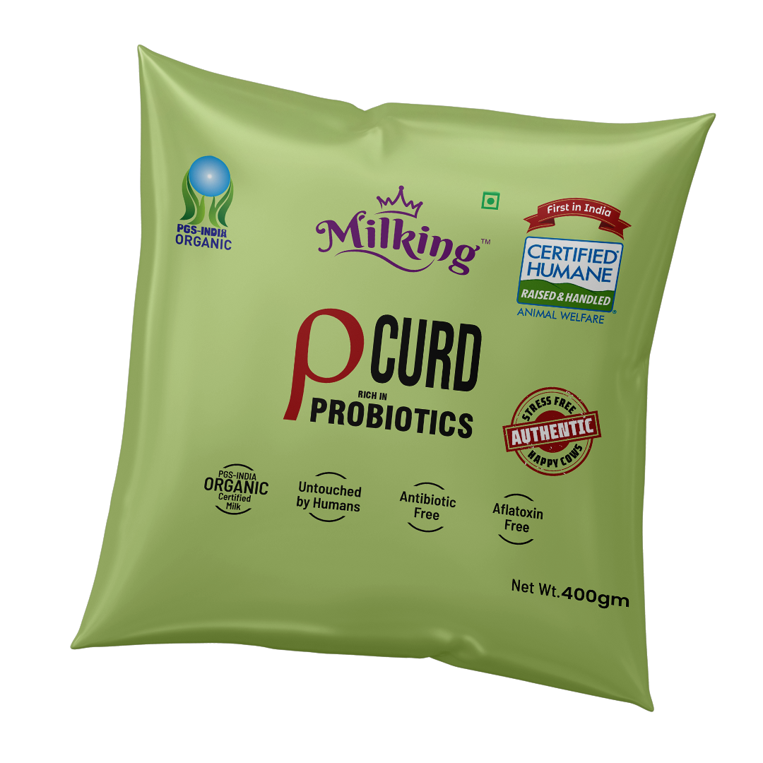 Curd Probiotic Rich 400 g
