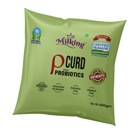 Curd Probiotic Rich 400 g