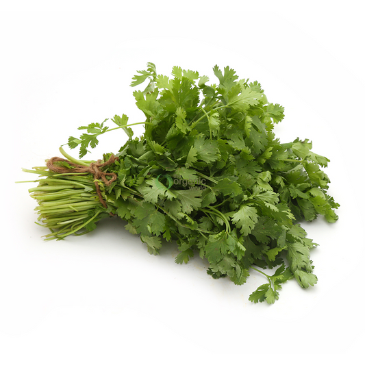 Coriander 1 PCS