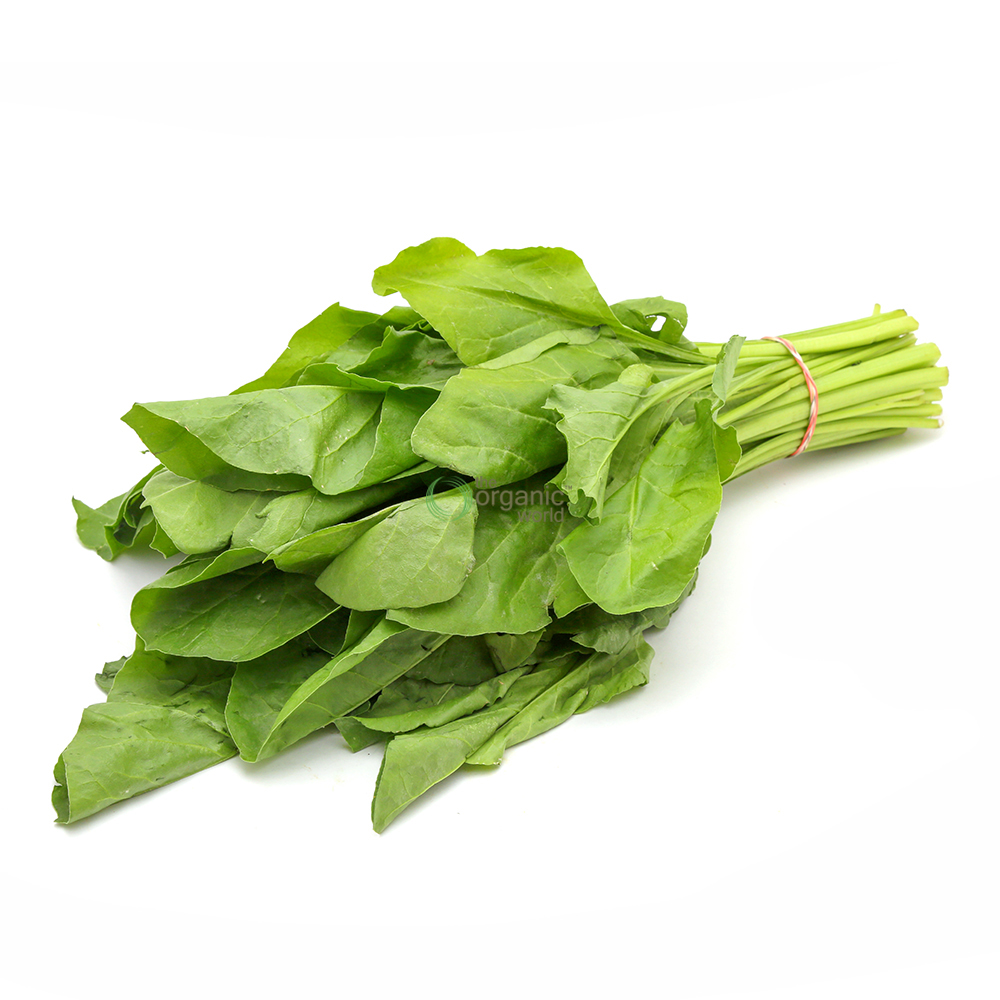 Palak Bunch 1 BUNCH