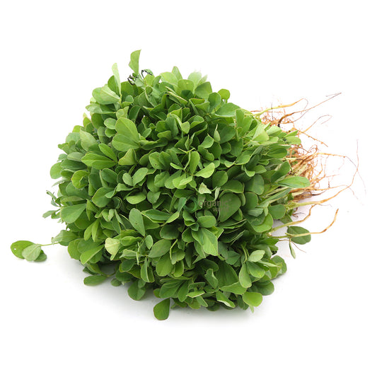 Methi 1 PCS