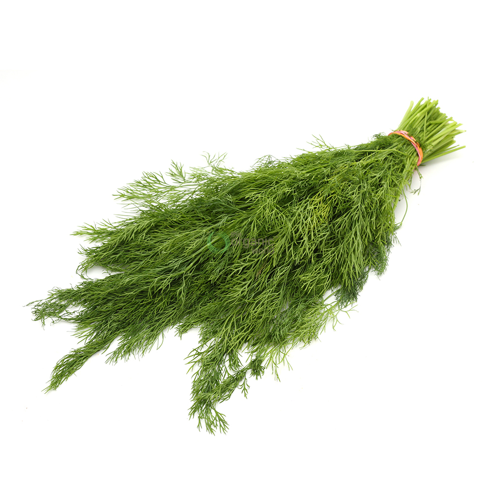 Dill 1 PCS