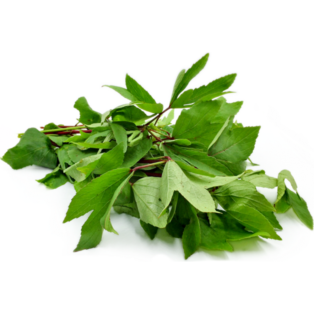 Gongura 1 PCS
