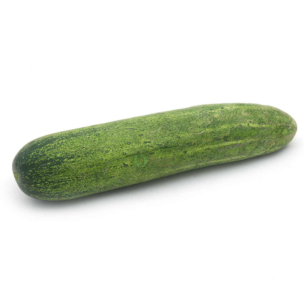 Cucumber Green 1 KG