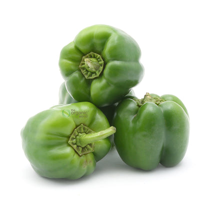 Capsicum Green 1 KG