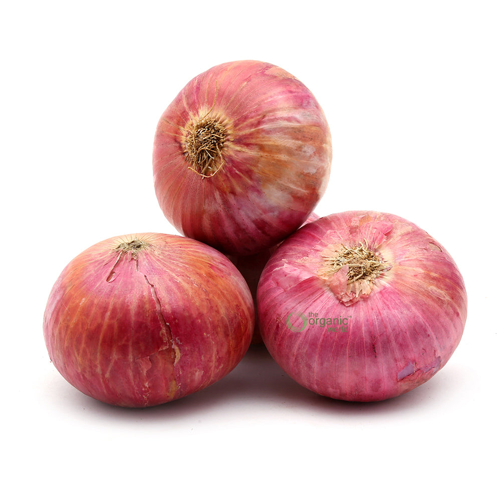 Onion 1 KG