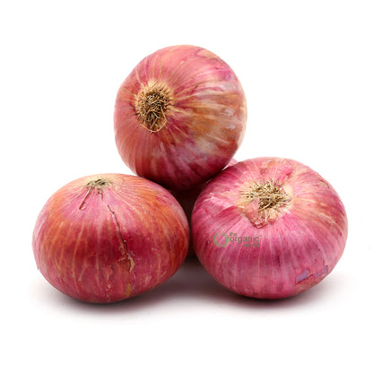 Onion 1 KG