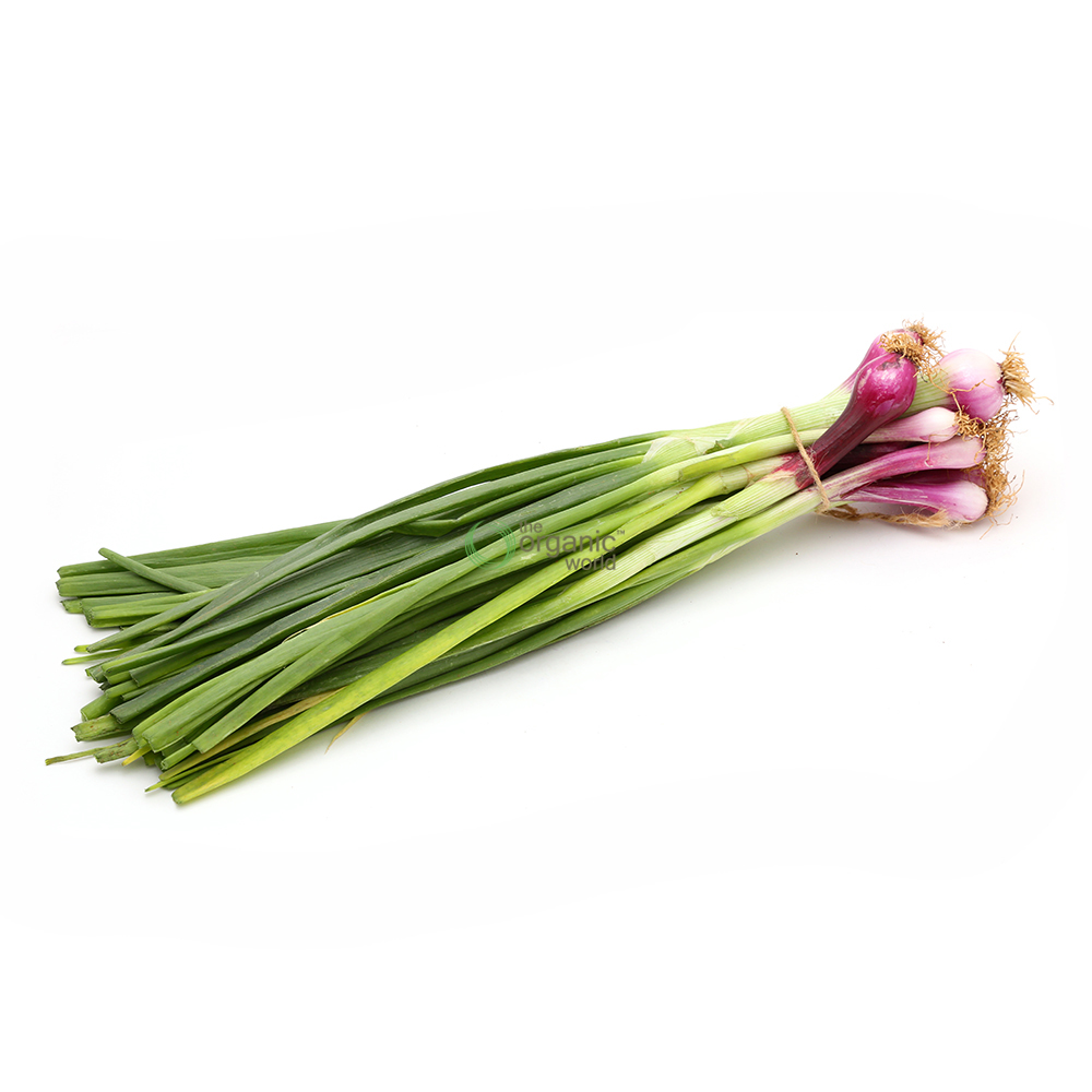 Spring Onion 1 PCS