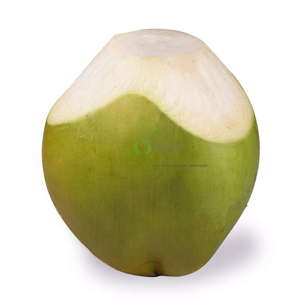 Tender Coconut 1 PCS