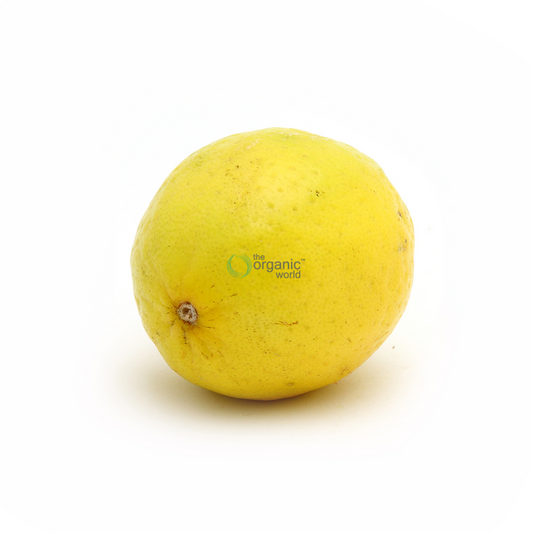 Lemon 1 PCS