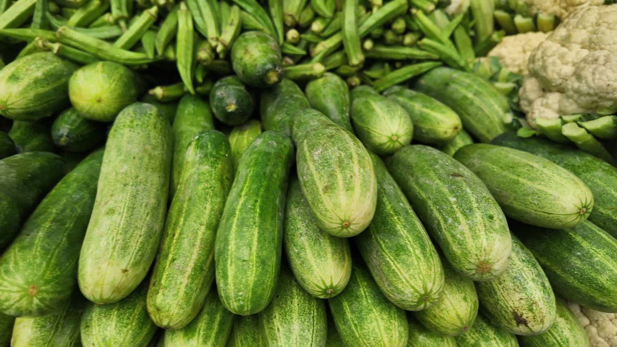 Fresh organic produce
